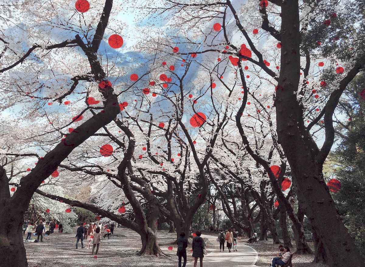 Fotografía de Delie Dickmann Árboles blancos de cerezos en flor en Kioto (Japón) con puntos rojos abstractos