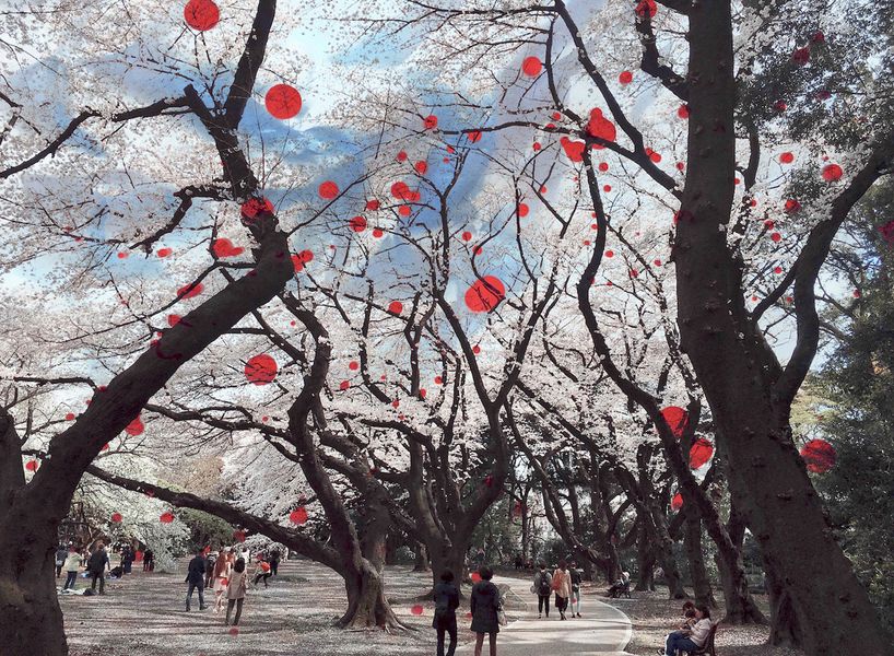 Delie Dickmann Fotografie weiße Kirschblüten Bäume in Kyoto Japan mit abstrakten roten Punkten 