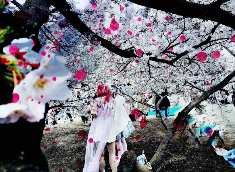 Delia Dickmann abstrakte Fotografie weiße Kirschblüten Bäume und Anime Coplayer mit rosa kreisen