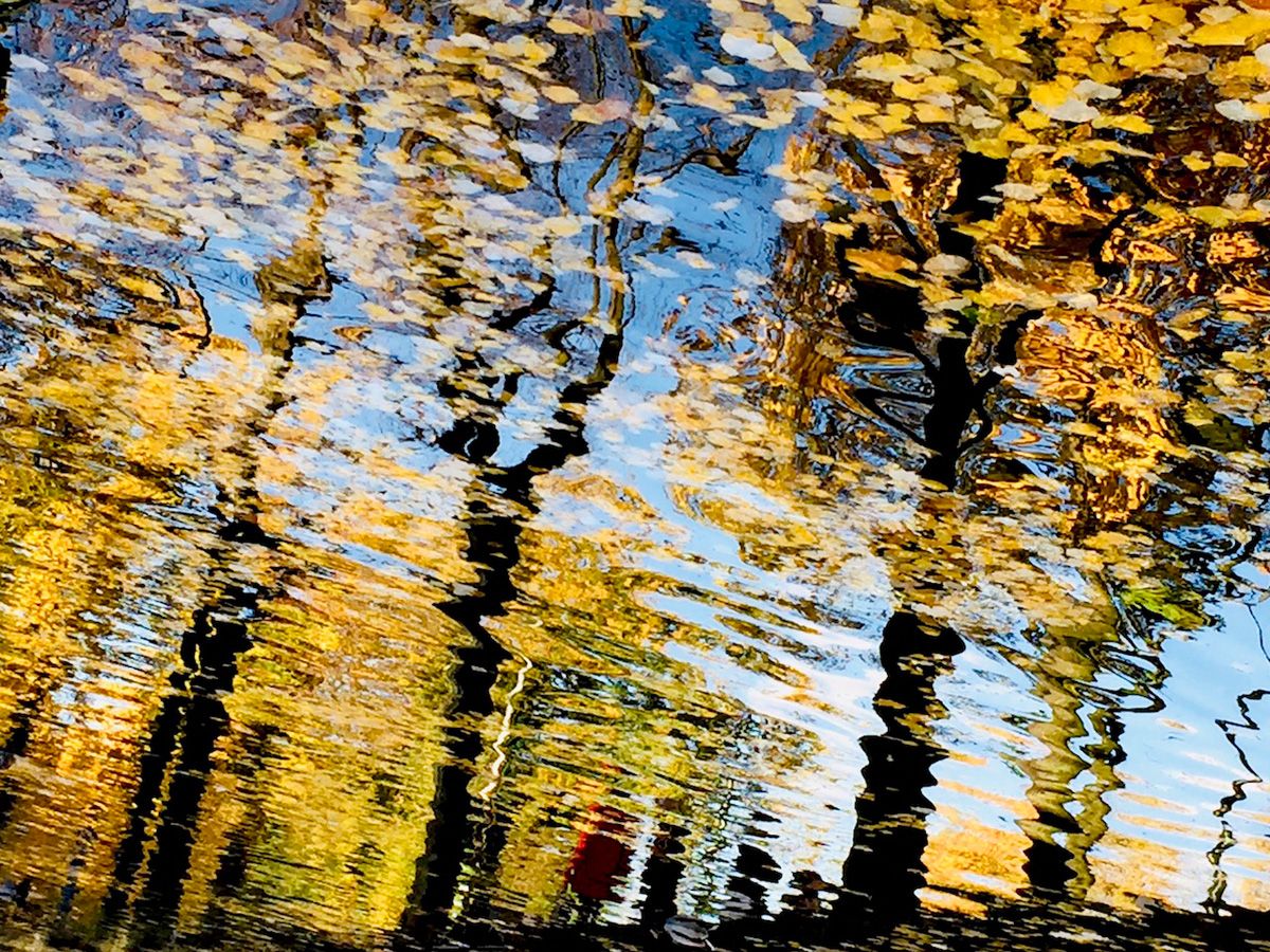 Manfred Vogelsänger Photographie eau reflet arbres jaunes d'automne sur la tête