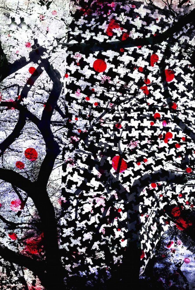 Delia Dickmann abstrakte Fotografie Untersicht Kirschblüten Baum und schwarz weiß Stoffmuster mit roten Kreisen
