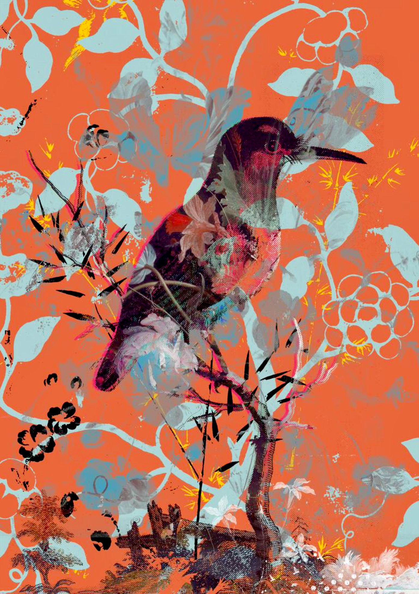泰斯-阿尔贝斯绘画拼贴橙色背景上的异国鸟类