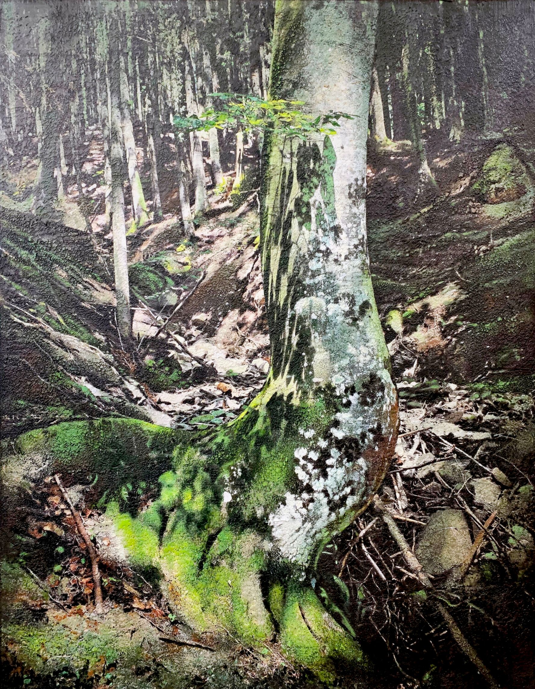 Charred tree Brienenoord island" de Karin Vermeer est une combinaison numérique et un traitement de photographies, de peintures et de collage pour créer de nouvelles, La peinture est une œuvre d'art unique et a beaucoup de structure et est très détaillée. On peut presque s'immerger dans ce paysage forestier.