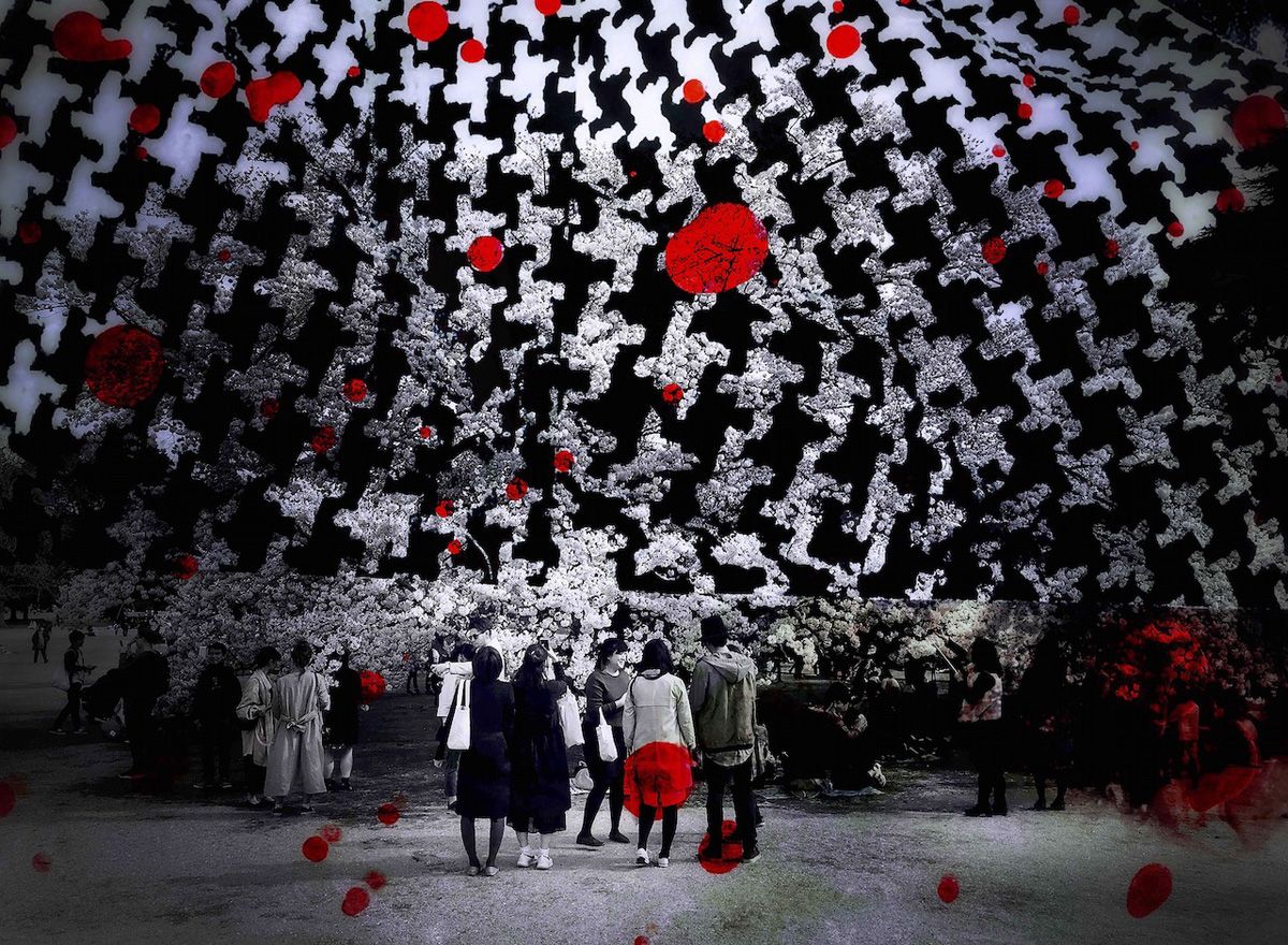 Delia Dickmann abstrakte Fotografie schwarzweiß Kirschblüten Bäume mit Menschen Überlagerung Stoffmuster und rote Kreise