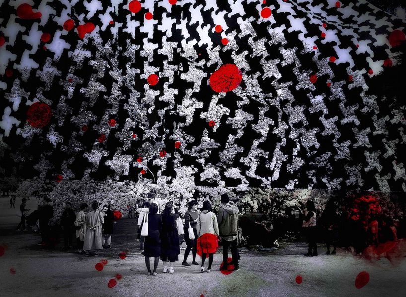 Delia Dickmann photographie abstraite noir et blanc fleurs de cerisiers arbres avec personnes superposition motifs de tissus et cercles rouges