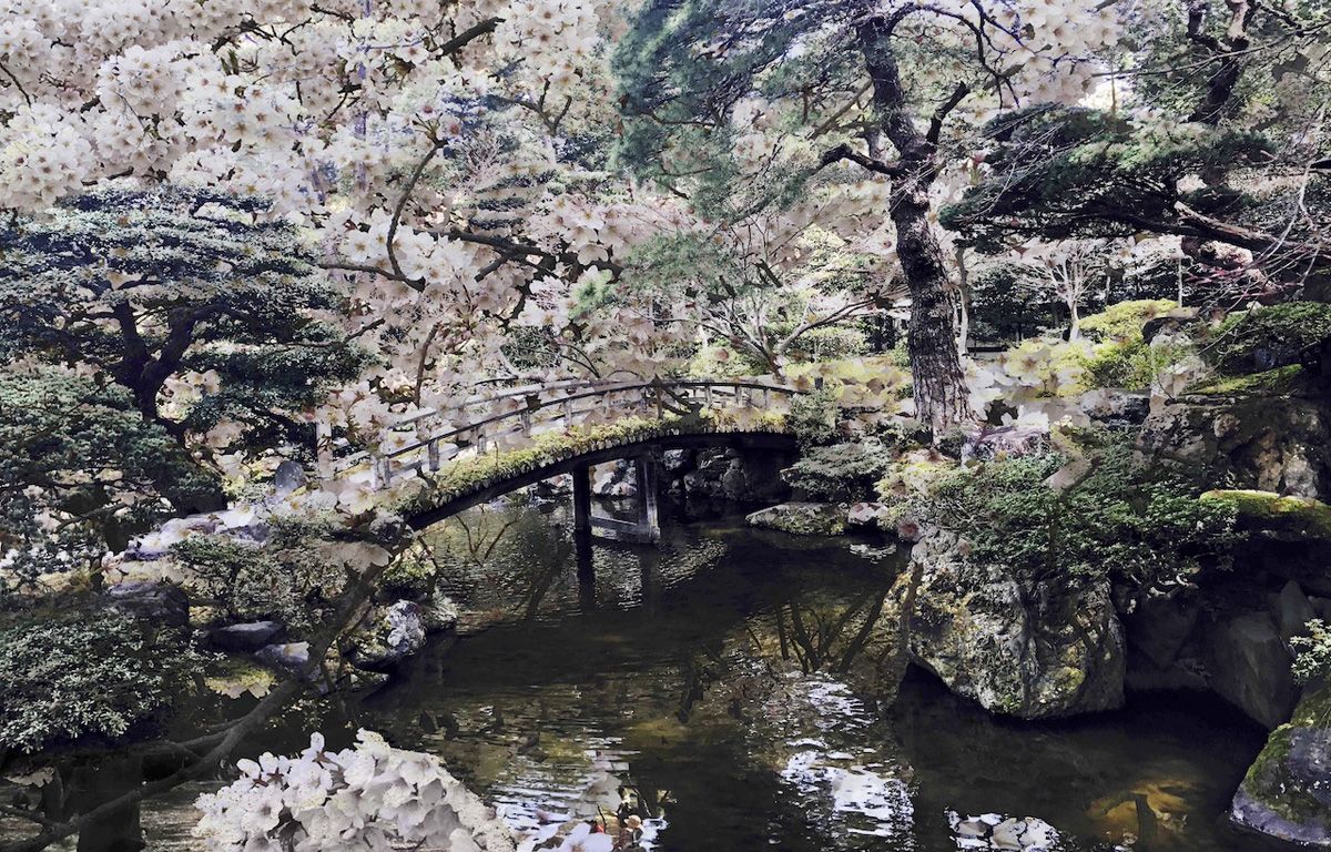 Delia Dickman photographie vieux pont avec cerisiers japonais en fleurs au bord de l'eau
