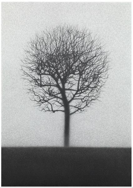 Danja Akulin minimalistische Bleistift Zeichnung Baum ohne Blätter am Horizont