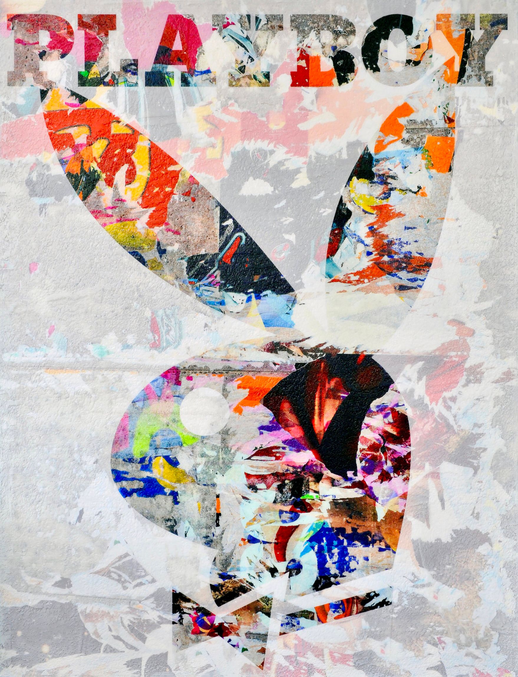 卡琳-维米尔的 "花花公子兔子 "是将照片、绘画和拼贴画以数字方式组合和处理成新的、原创的彩色街头艺术作品。