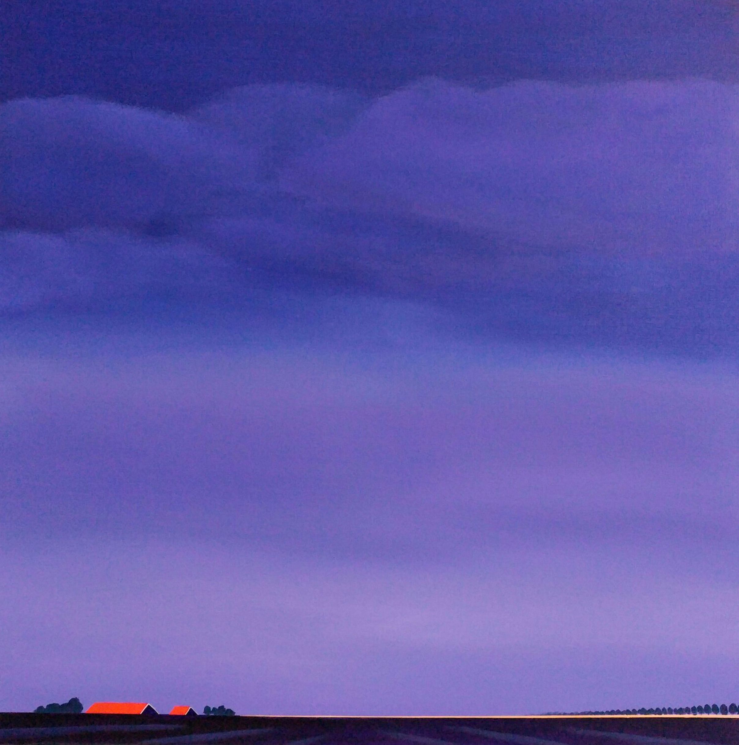 Nelly van Nieuwenhuijzen的 "紫色的夜晚 "画作展示了泽兰的风景。最后的阳光将地平线染成金色/紫色，屋顶则是火红的。