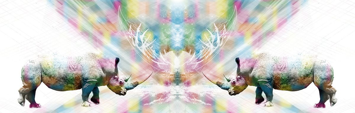 Jörg Conrad digitale Composition Nashorn Spiegelung und bunte Farbe in der Mitte