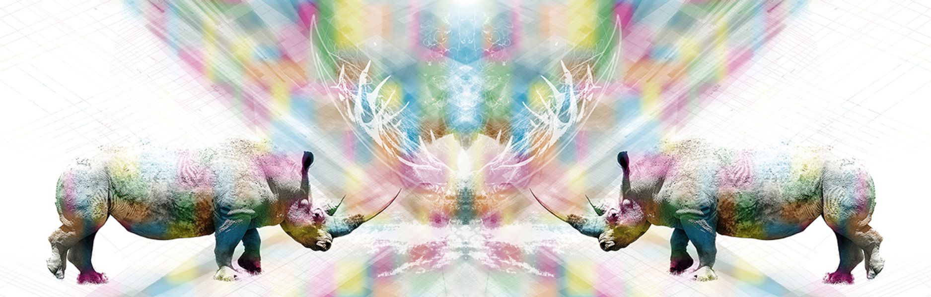 Jörg Conrad digitale Composition Nashorn Spiegelung und bunte Farbe in der Mitte