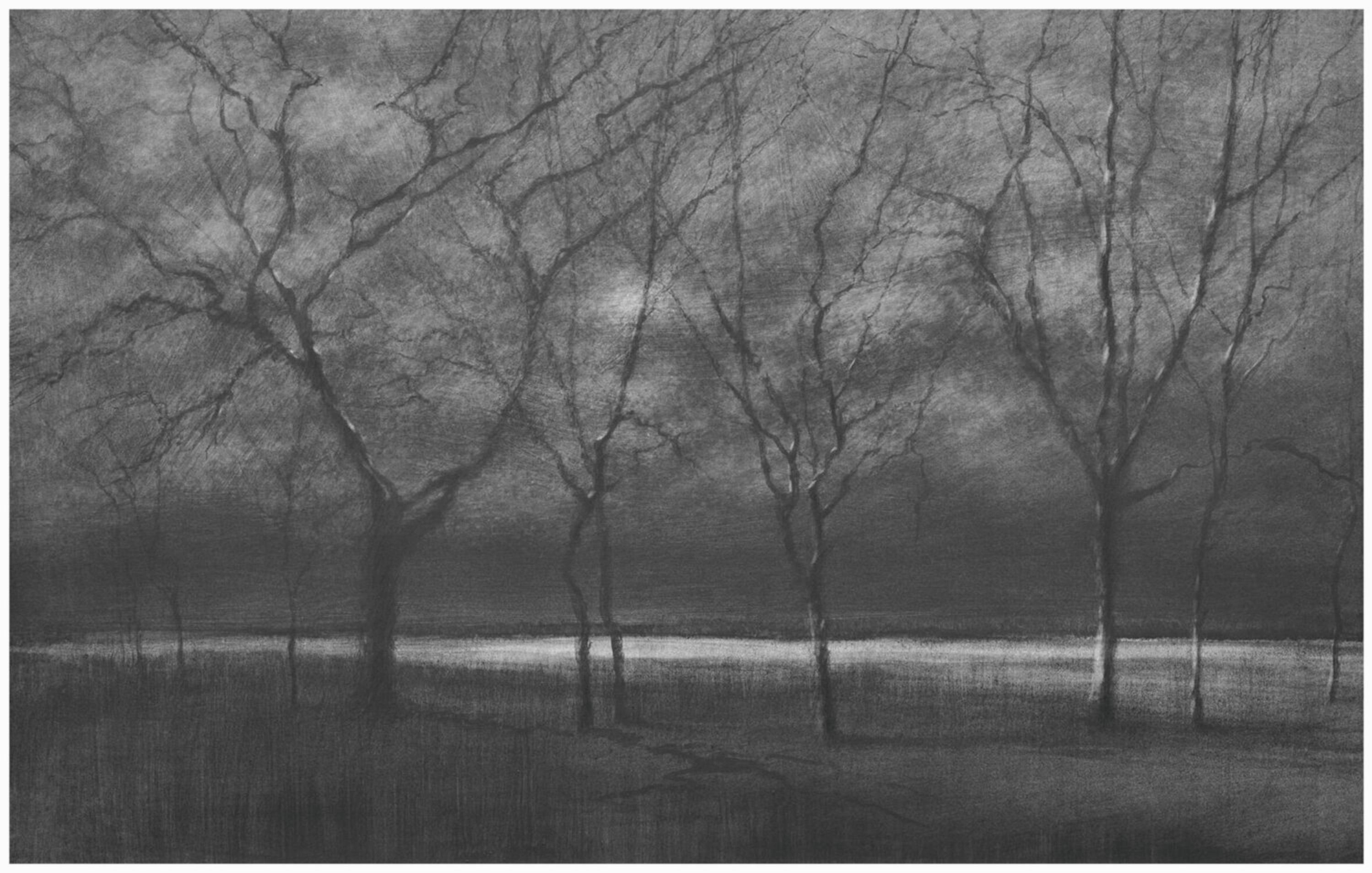 Danja Akulin lápiz carboncillo dibujo árboles sin hojas en el prado en la oscuridad con la luz de la luna