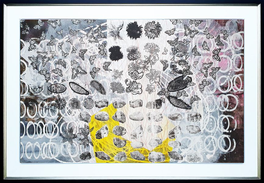 Dieter Nusbaum abstract painting silkscreen illustration stones flowers butterflies and cells overlay circles and lines