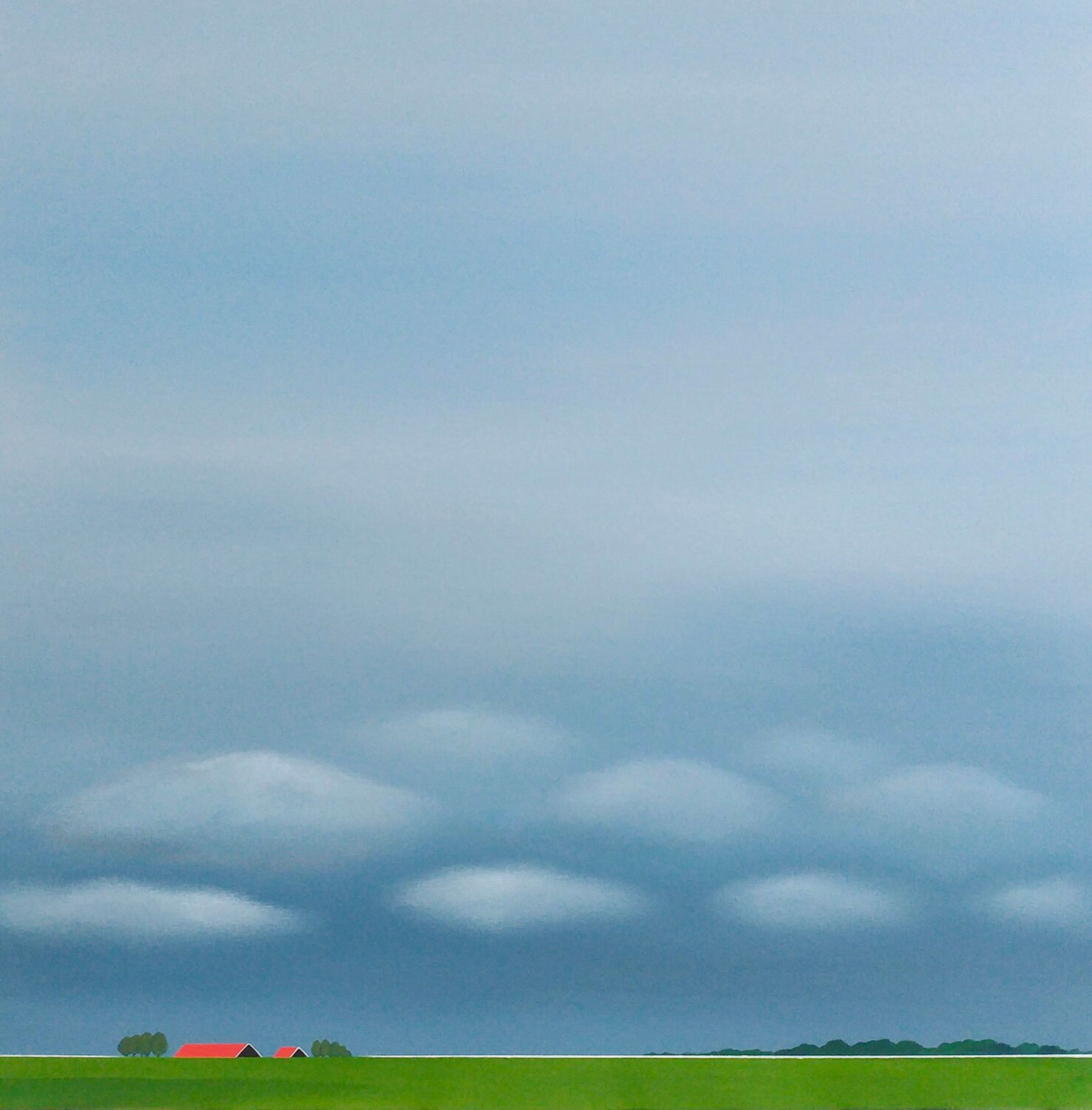 Le tableau "Dutch polder landscape" de Nelly van Nieuwenhuijzen montre un paysage en Zélande. Un immense ciel brumeux et nuageux, des toits rouges, une digue verte et quelques arbres.