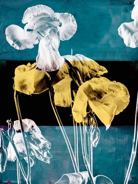 Teis Albers abstrakte Malerei verwelkte Blumen negativ Farben