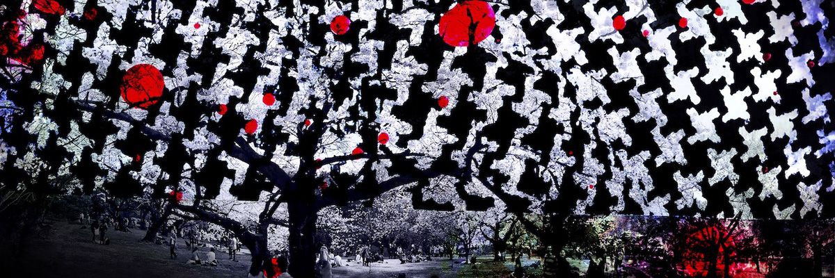 Delia Dickmann abstrakte Fotografie Kirschblüten Bäume  mit schwarz weiß Stoffmuster Überlagerung und rote Kreise
