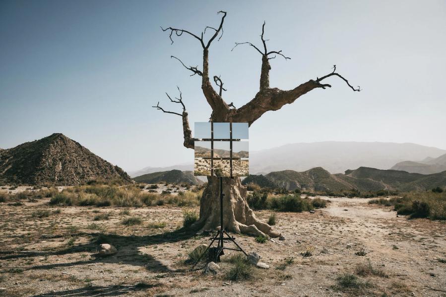 Michael Haegele Fotografie großer Baum ohne Blätter in der Wüste mit neun angeordneten Spiegeln auf einem Stativ