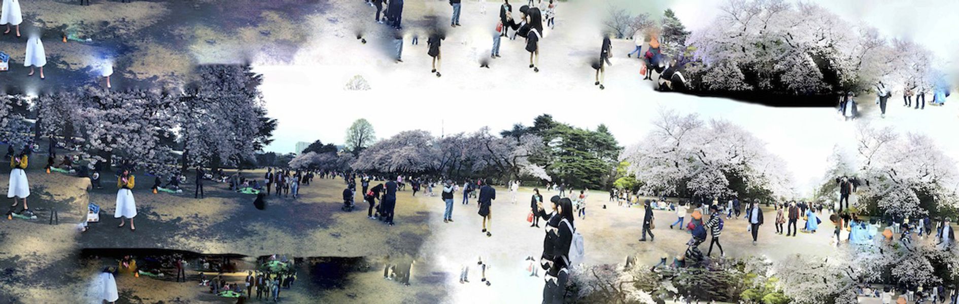 Delia Dickman abstract photography panorama park in Japan with people and cherry blossom trees overlays