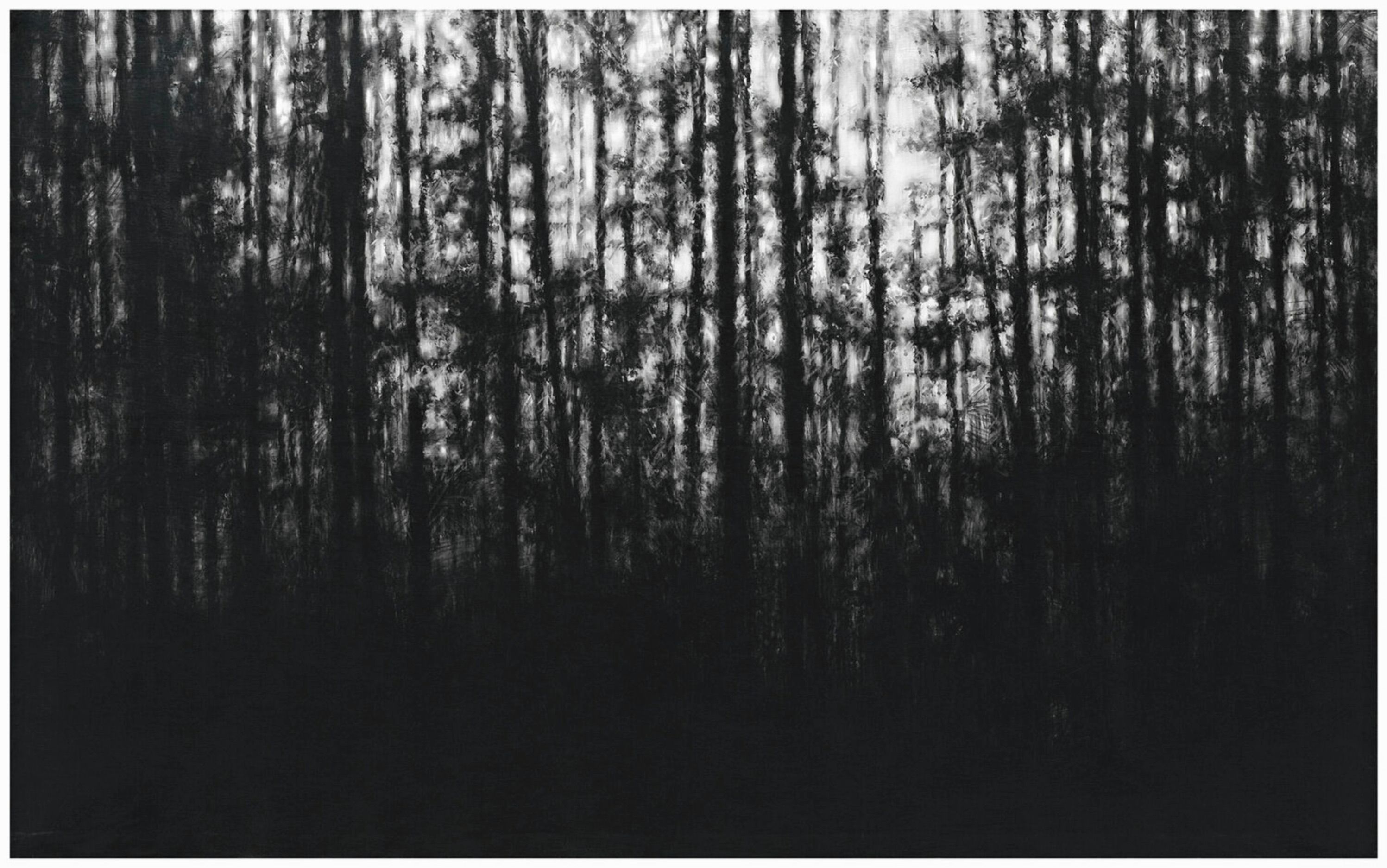 Danja Akulin disegno a carboncino a matita foresta di conifere scura e cielo esposto