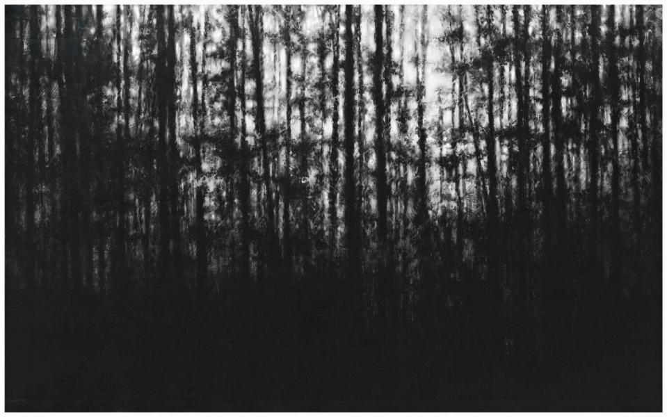 Danja Akulin pencil charcoal drawing dark conifer forest and exposed sky