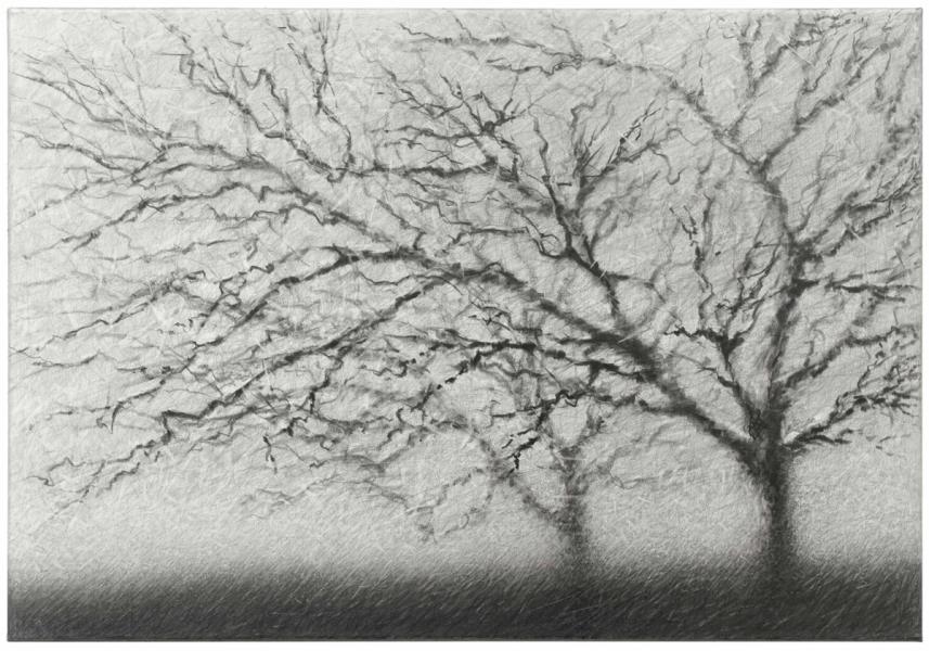 Danja Akulin Bleistift Kohle Zeichnung minimalistisch Baum ohne Blätter und große Baumkrone