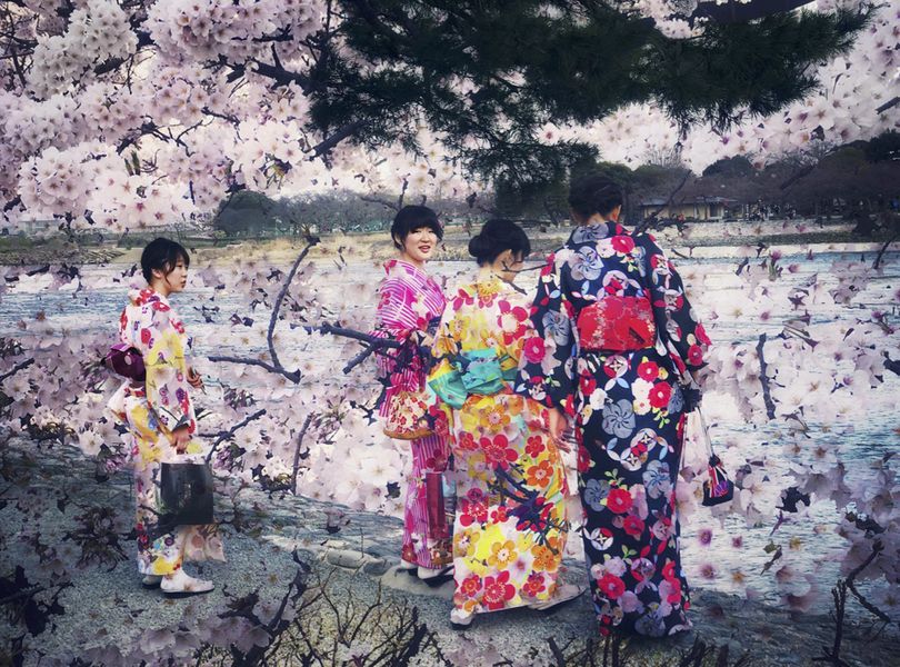 Delia Dickmann Fotografie Japanische Frauen in bunten Kimonos am Wasser mit abstrakter Kirschblüten Überlagerung 