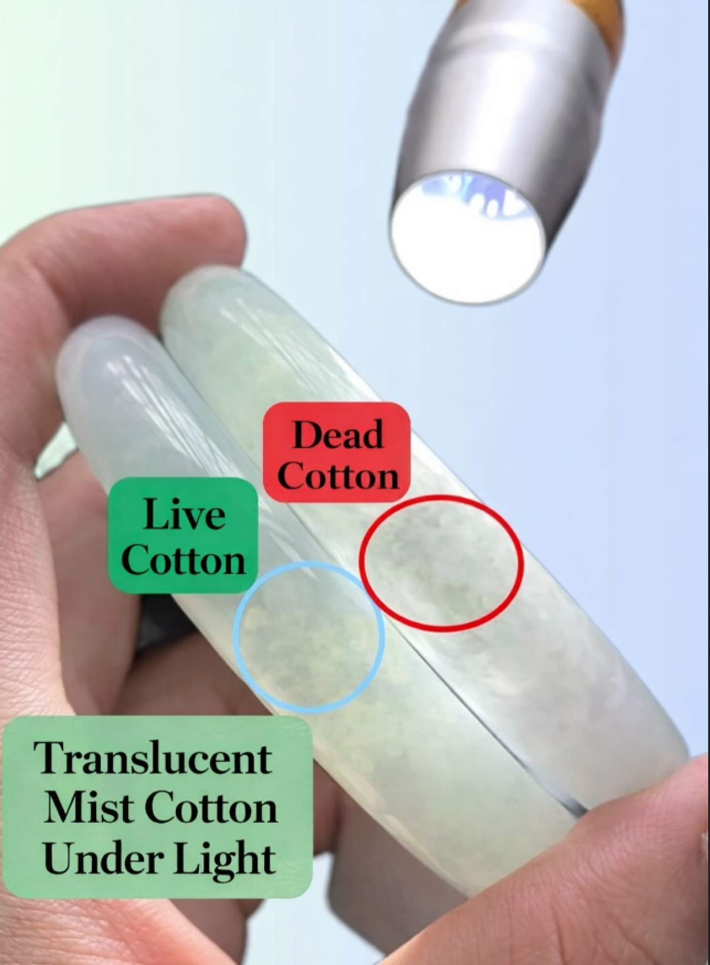 Dead Cotton versus Live Cotton