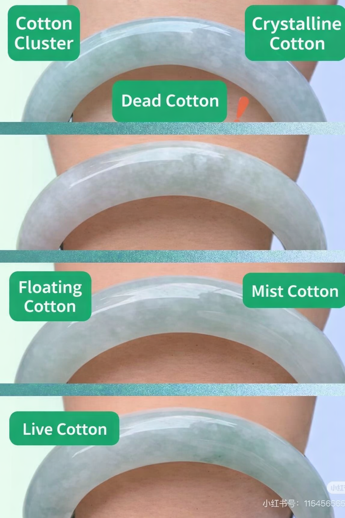 Live and Dead Cotton Example