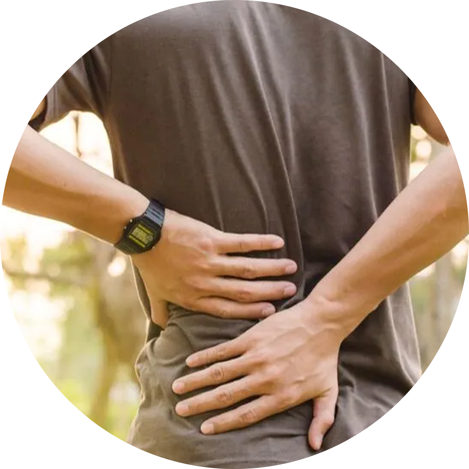 transverse myelitis