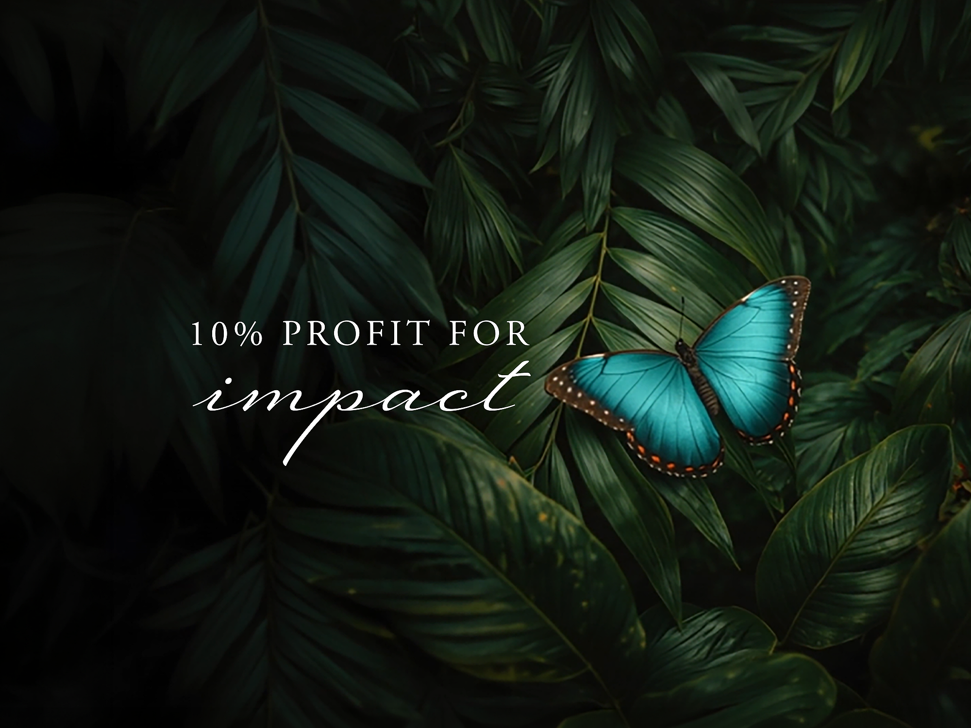 Rituals Profit Pledge