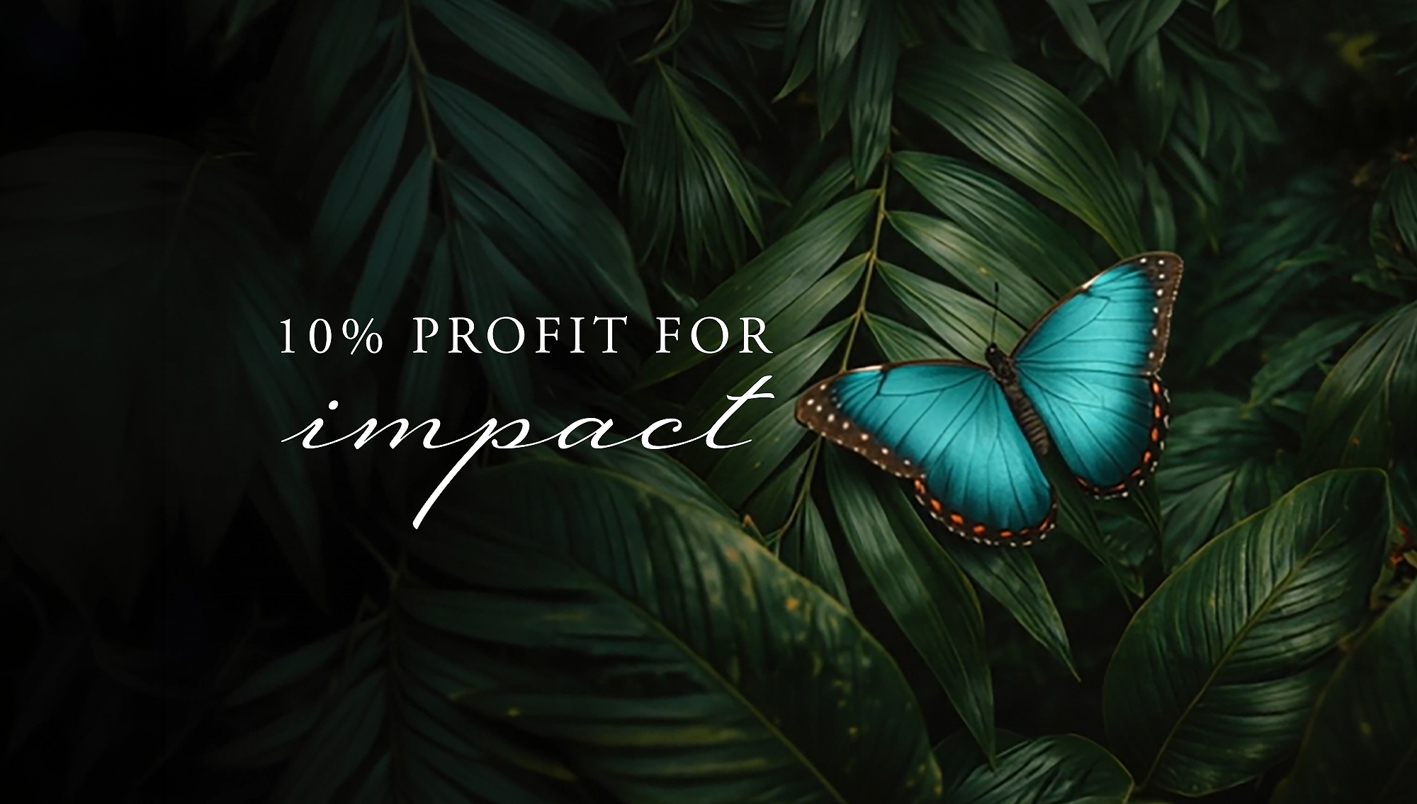 Rituals Profit Pledge