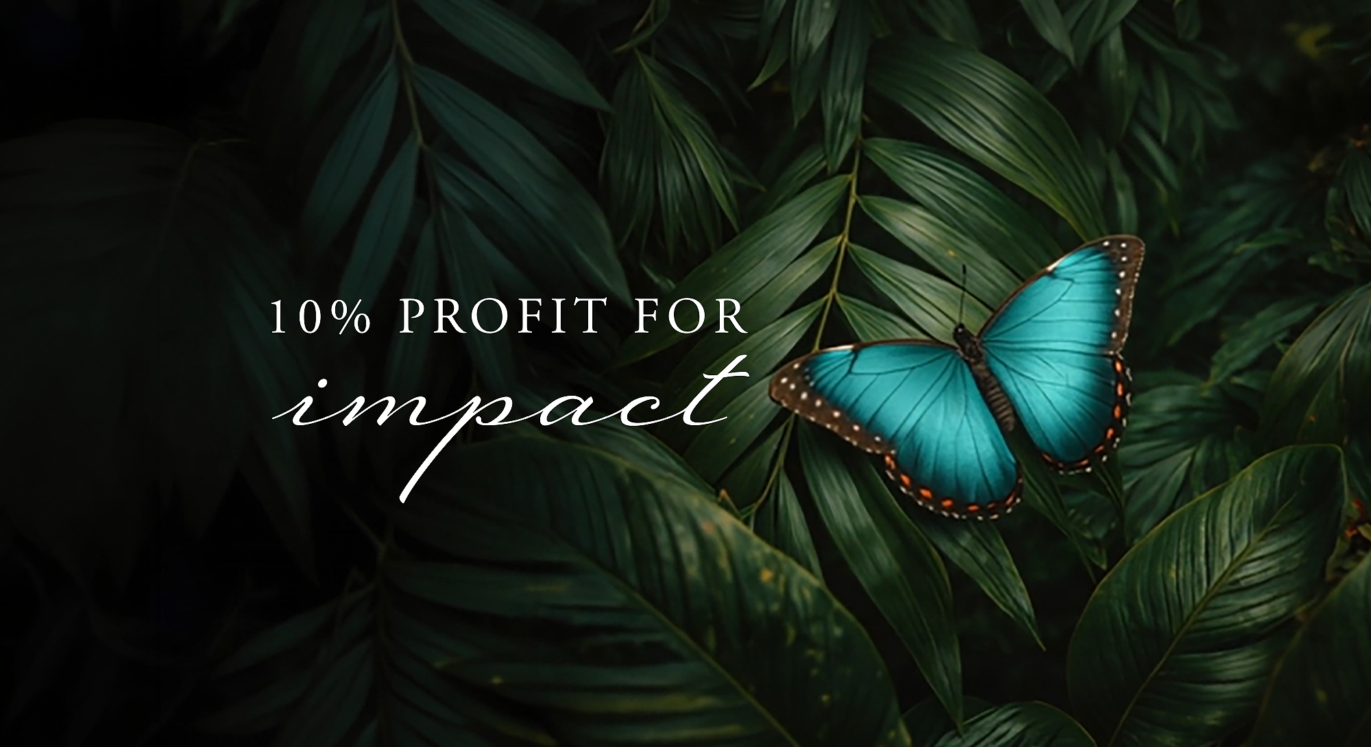 Rituals Profit Pledge