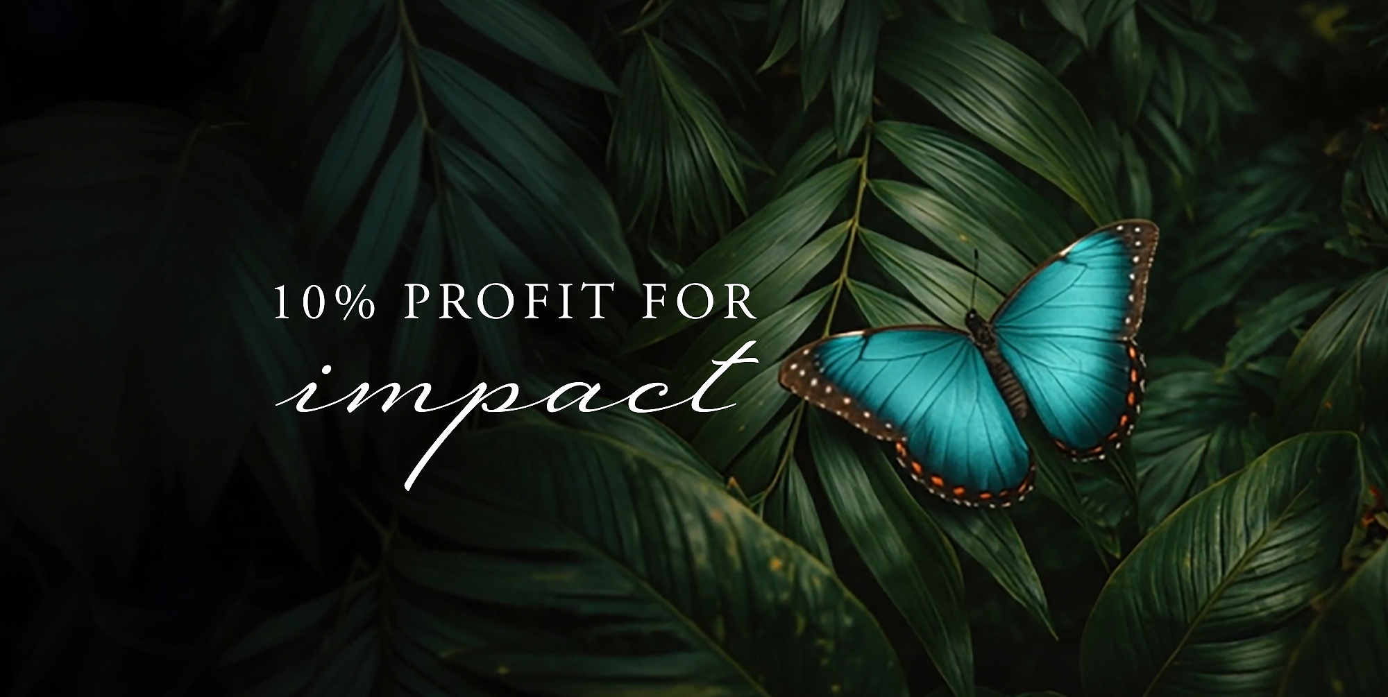 Rituals Profit Pledge