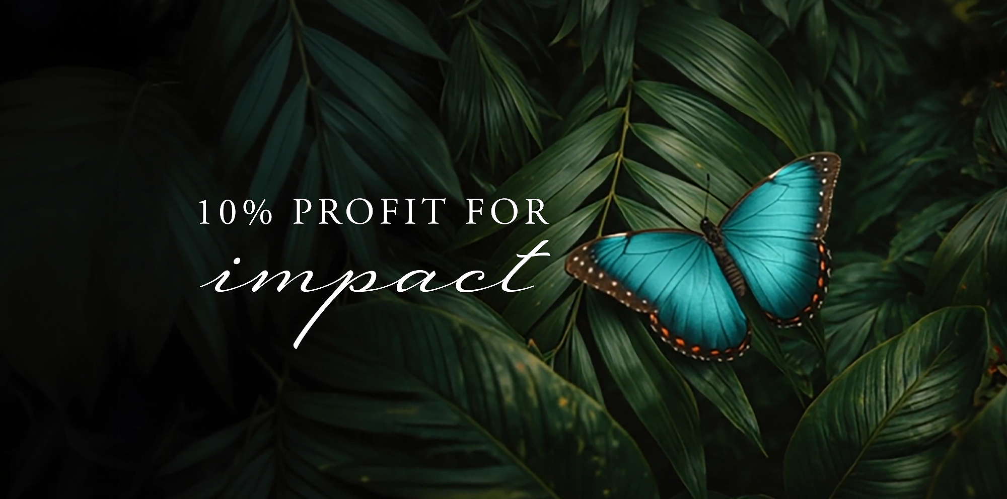 Rituals Profit Pledge