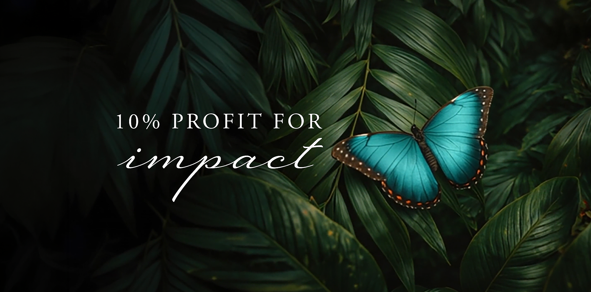 Rituals Profit Pledge