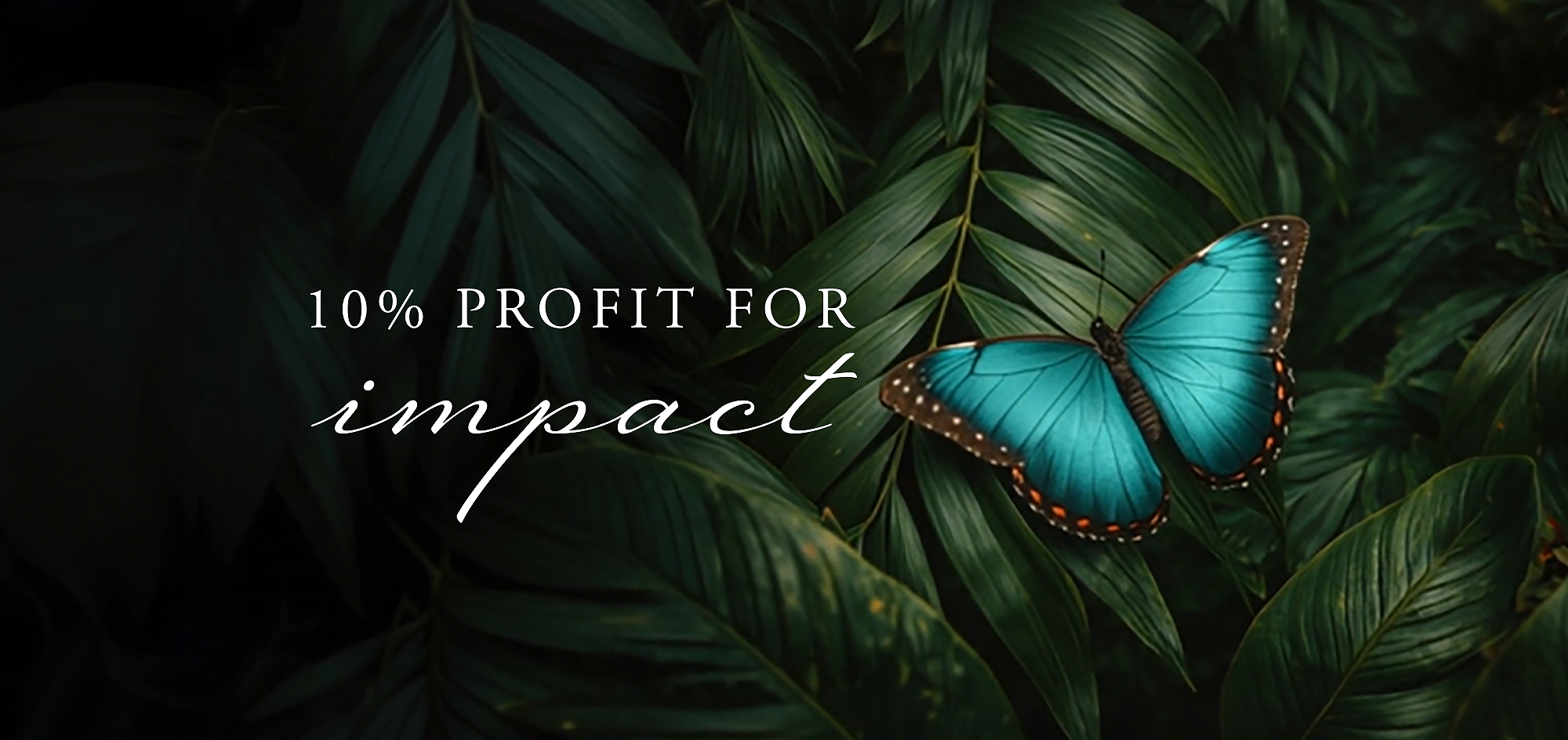 Rituals Profit Pledge