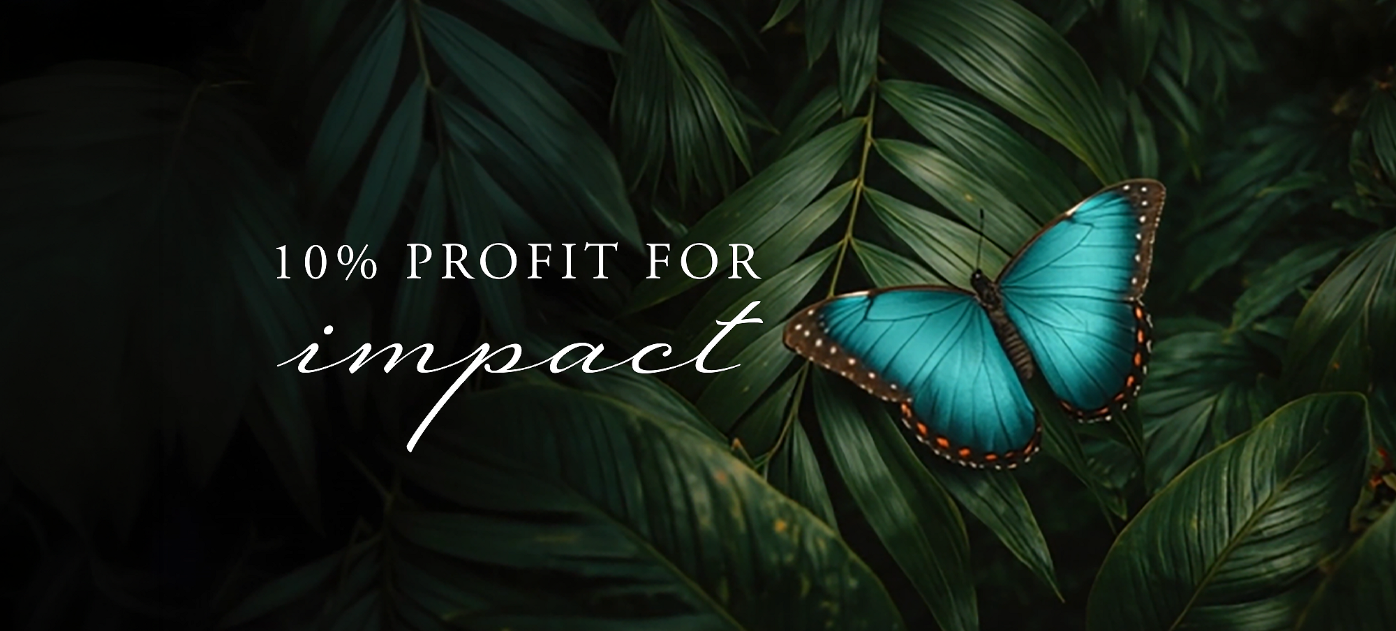 Rituals Profit Pledge