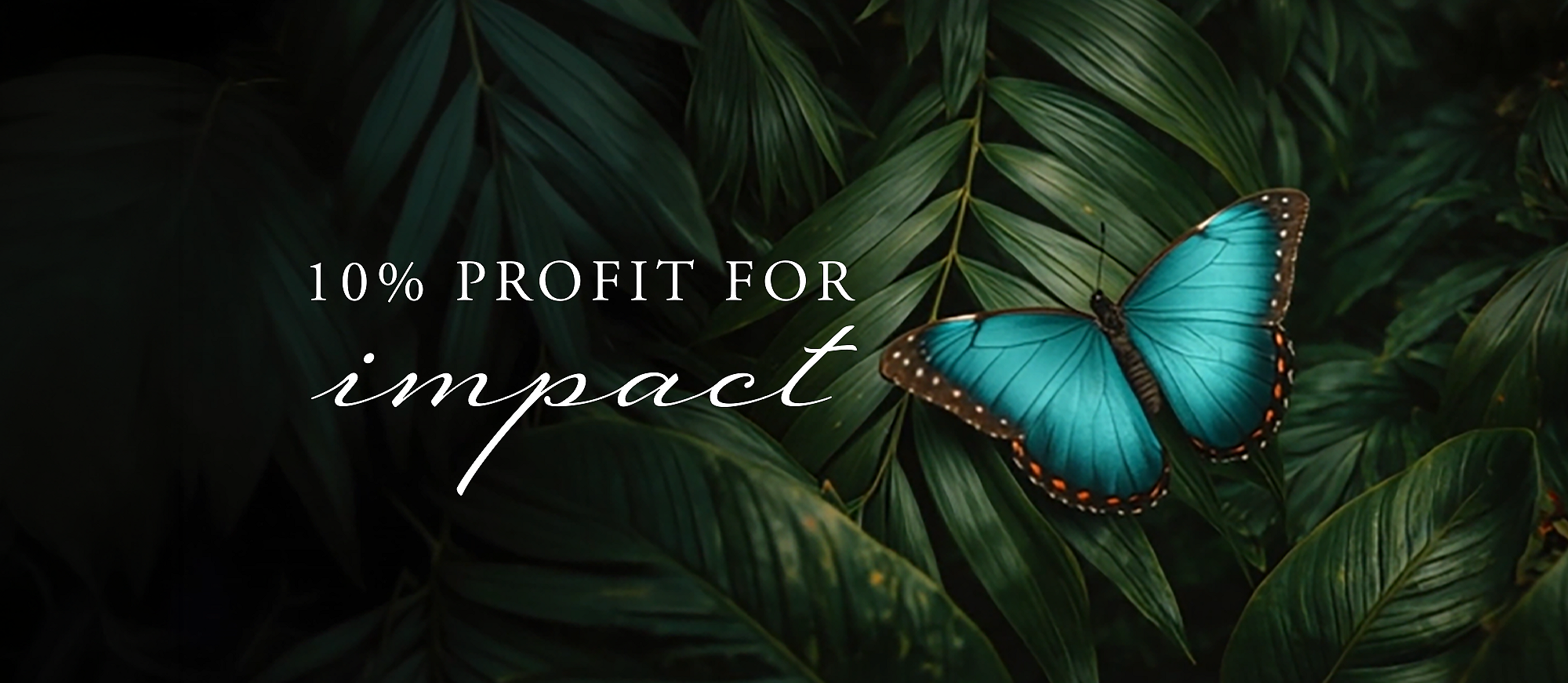 Rituals Profit Pledge