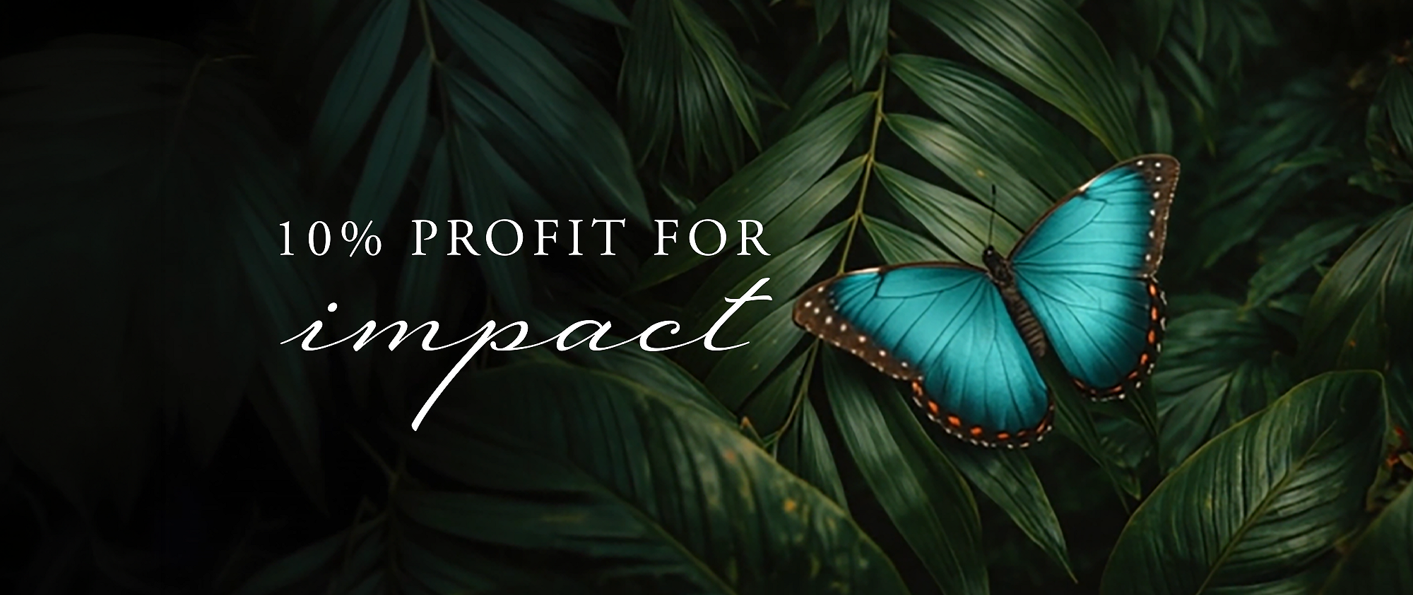 Rituals Profit Pledge