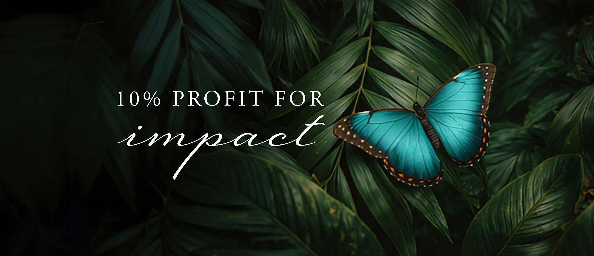Rituals Profit Pledge