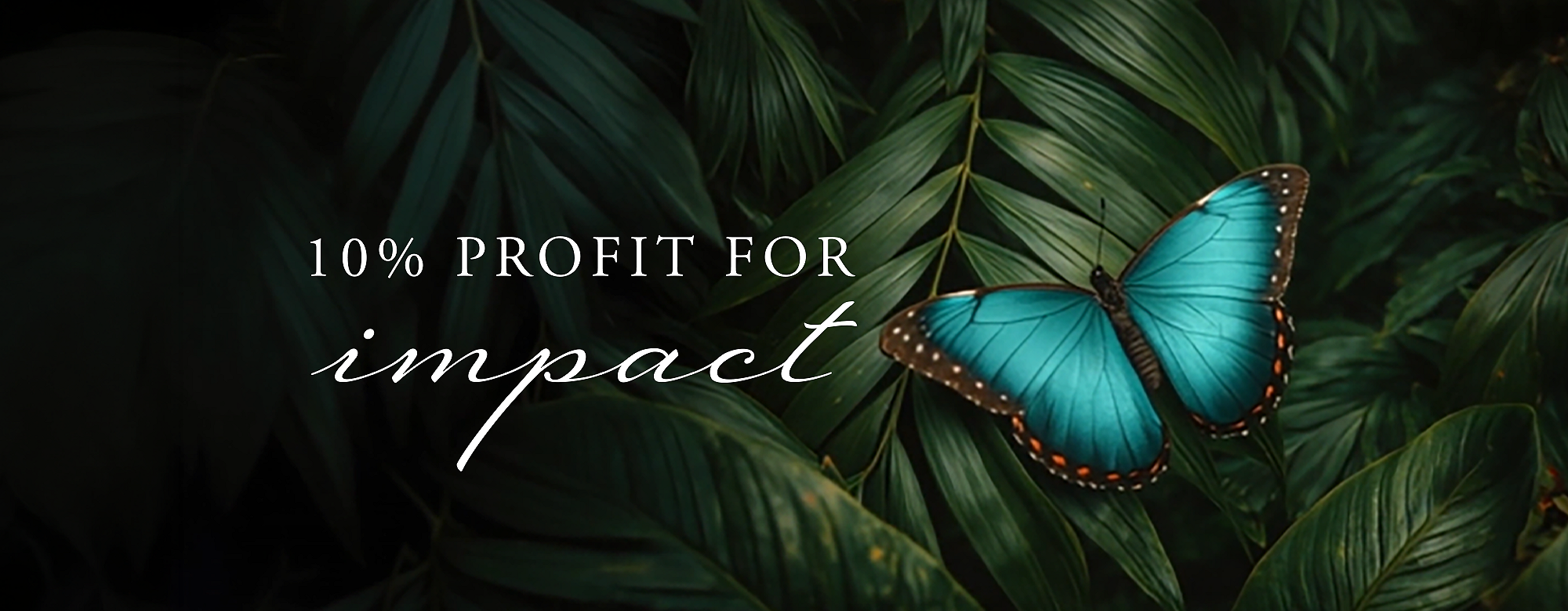 Rituals Profit Pledge