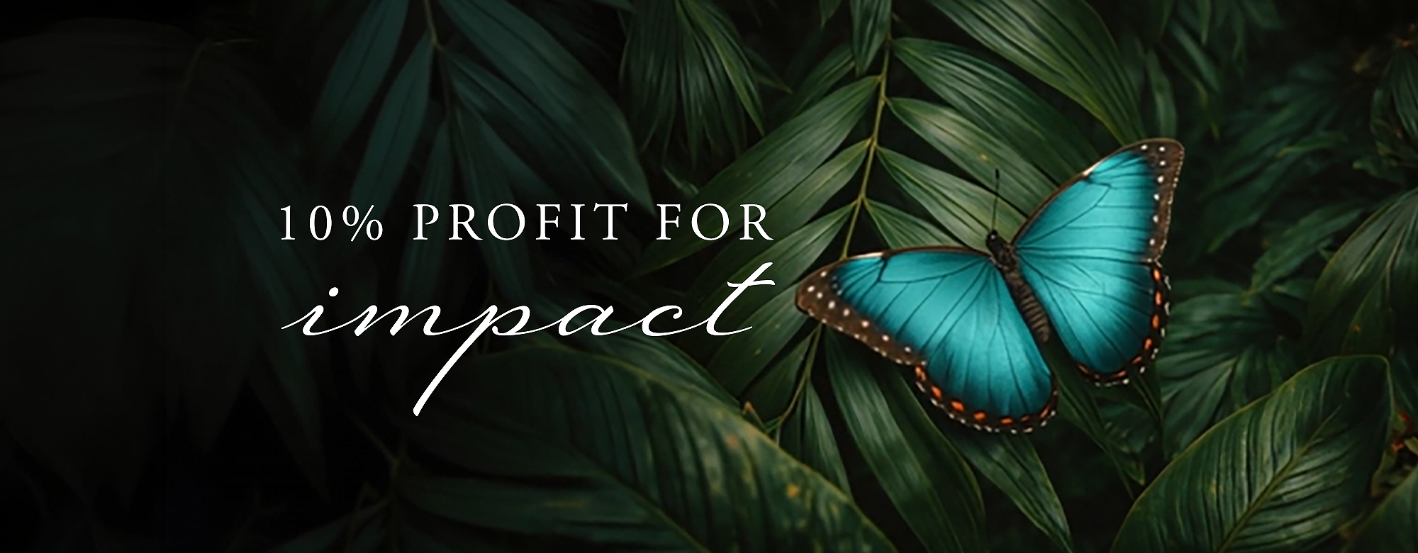 Rituals Profit Pledge