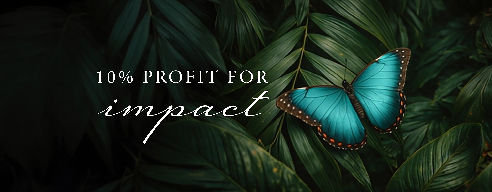 Rituals Profit Pledge