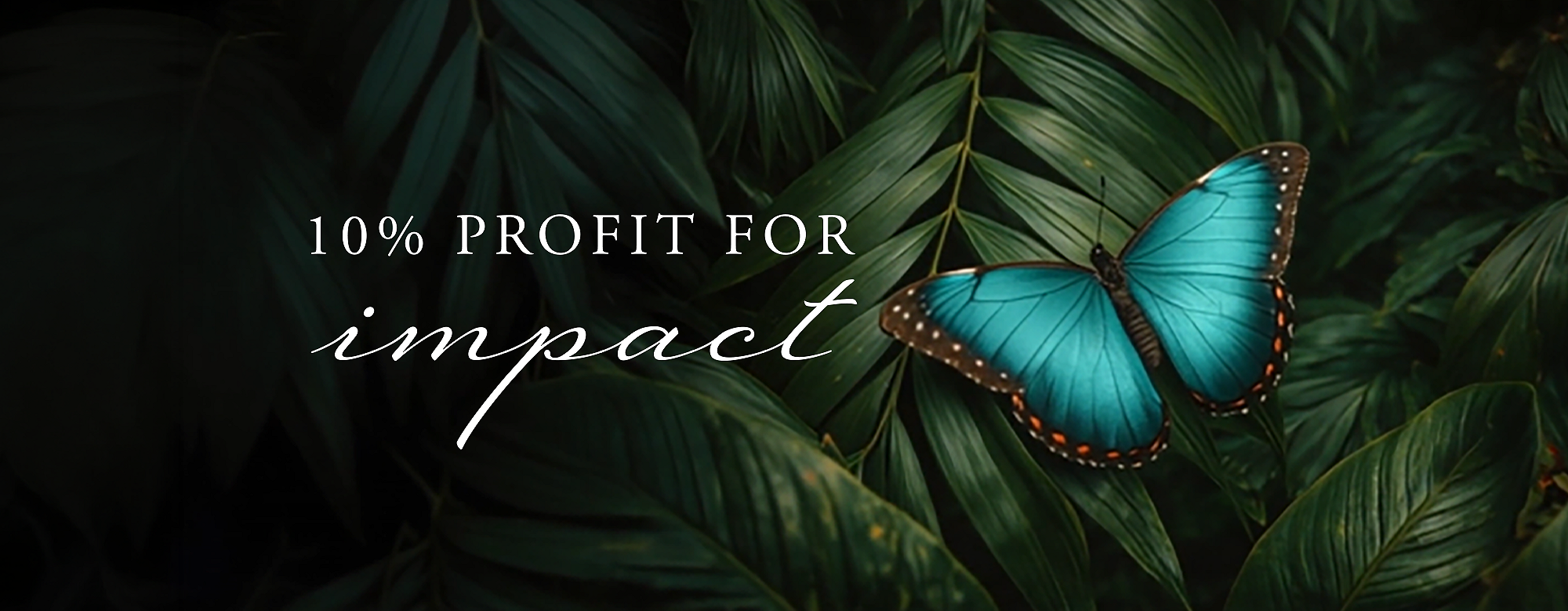 Rituals Profit Pledge