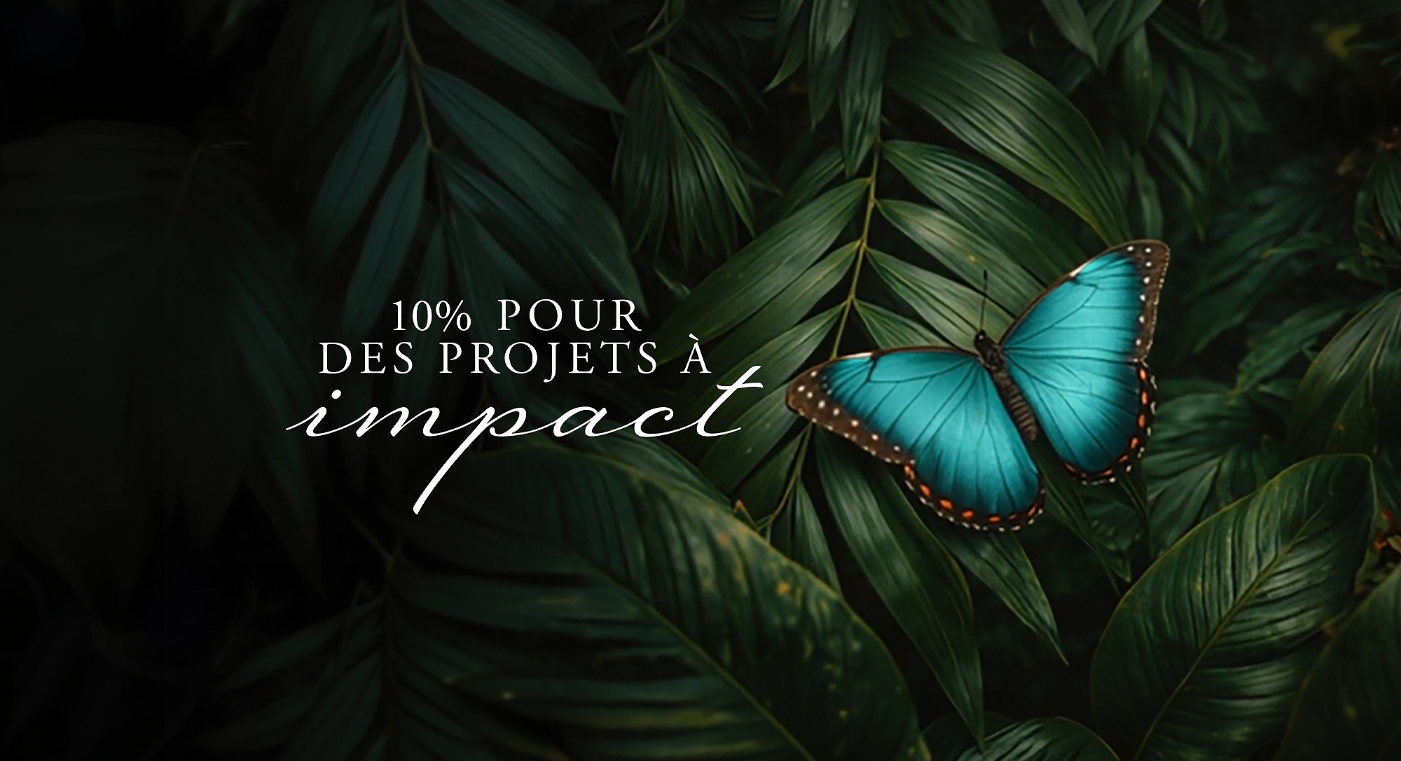 Rituals Profit Pledge
