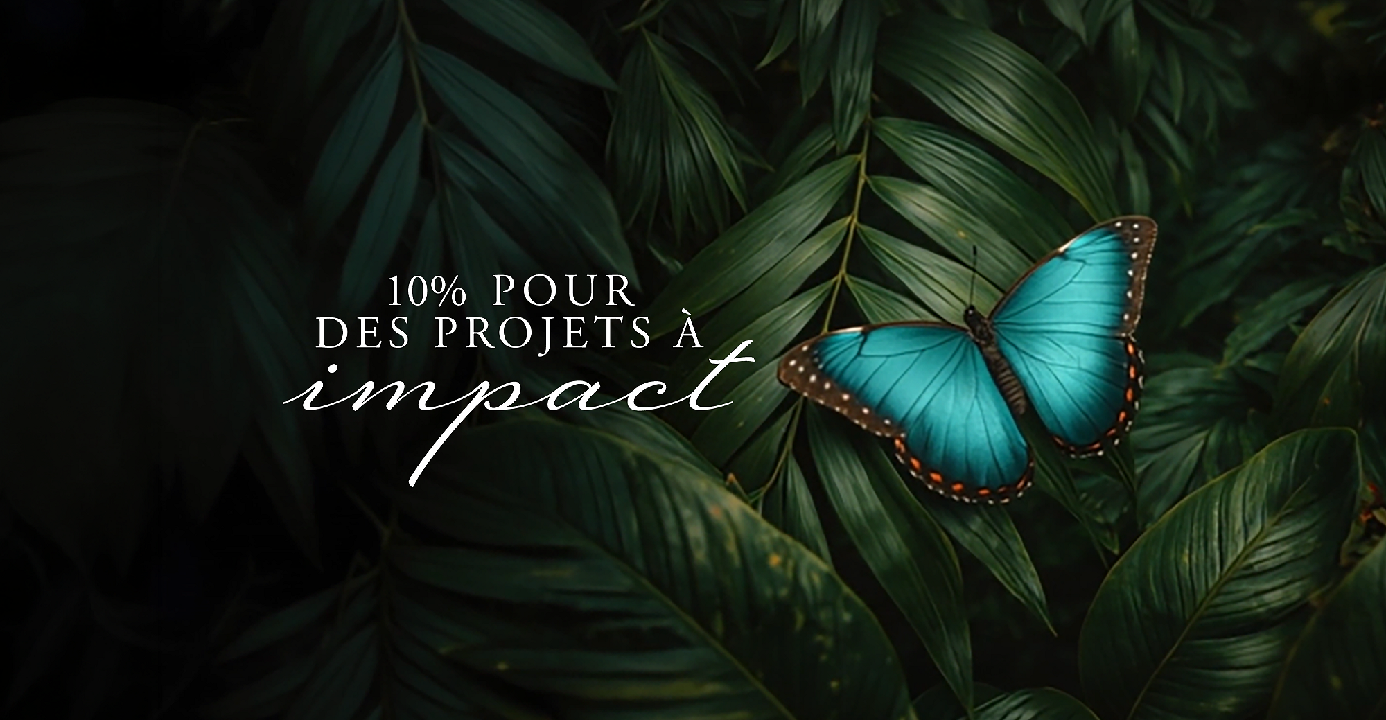 Rituals Profit Pledge