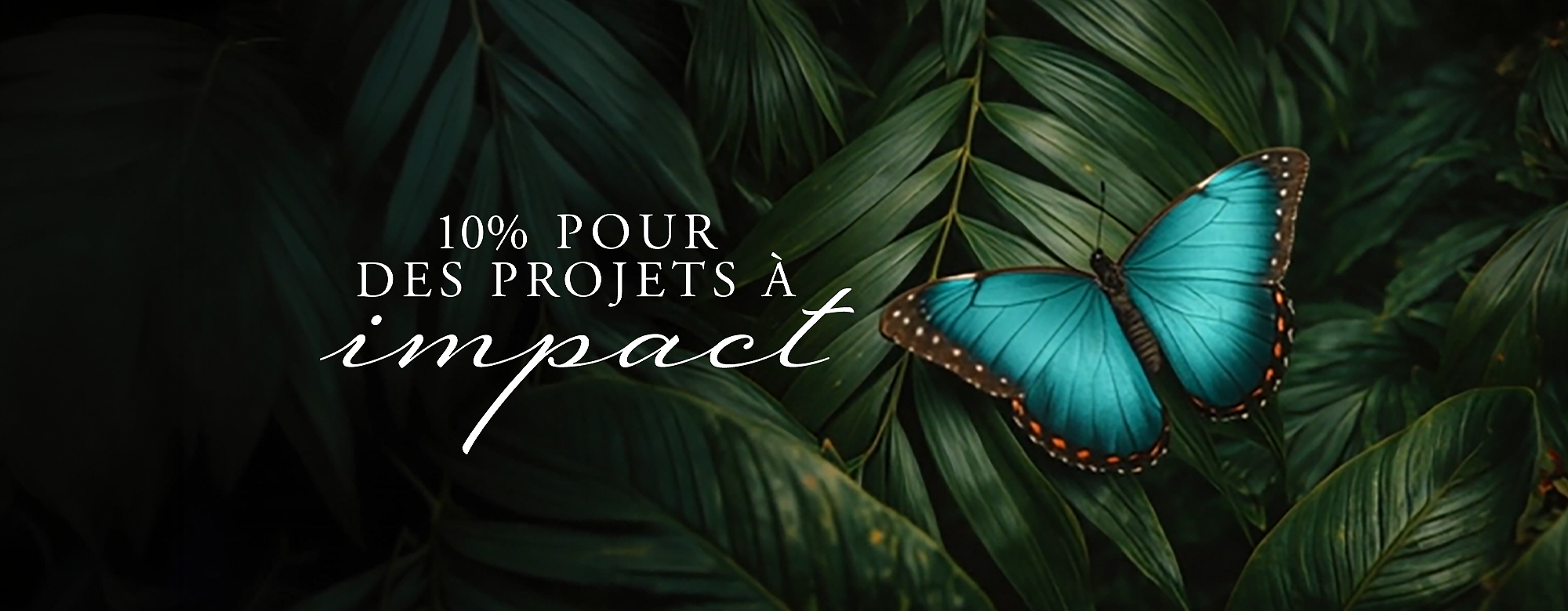 Rituals Profit Pledge