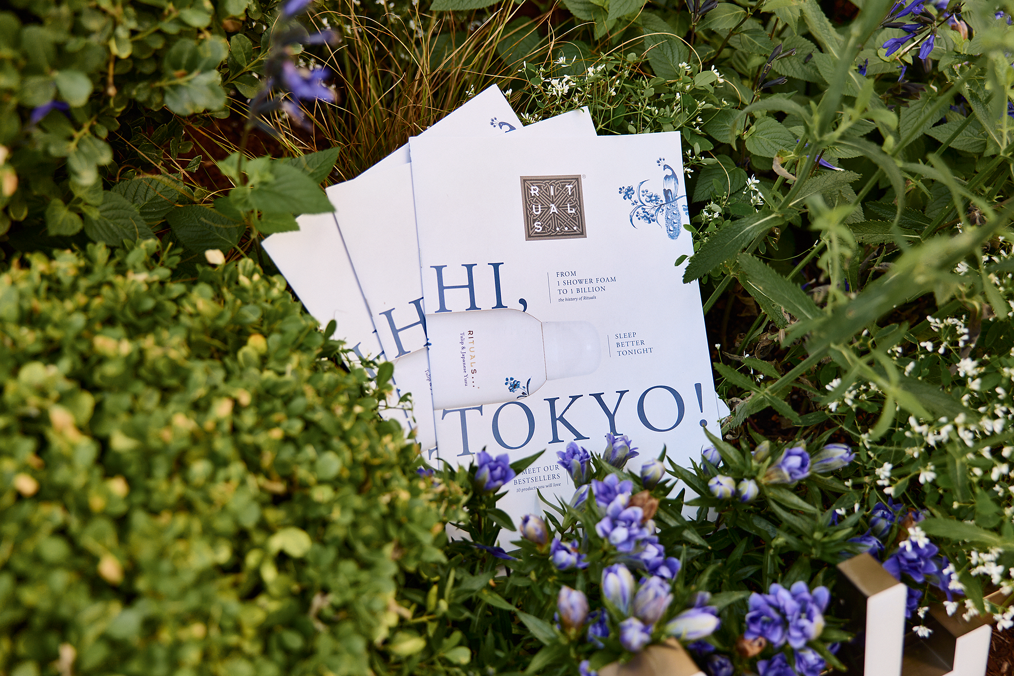 Tokyo Opening