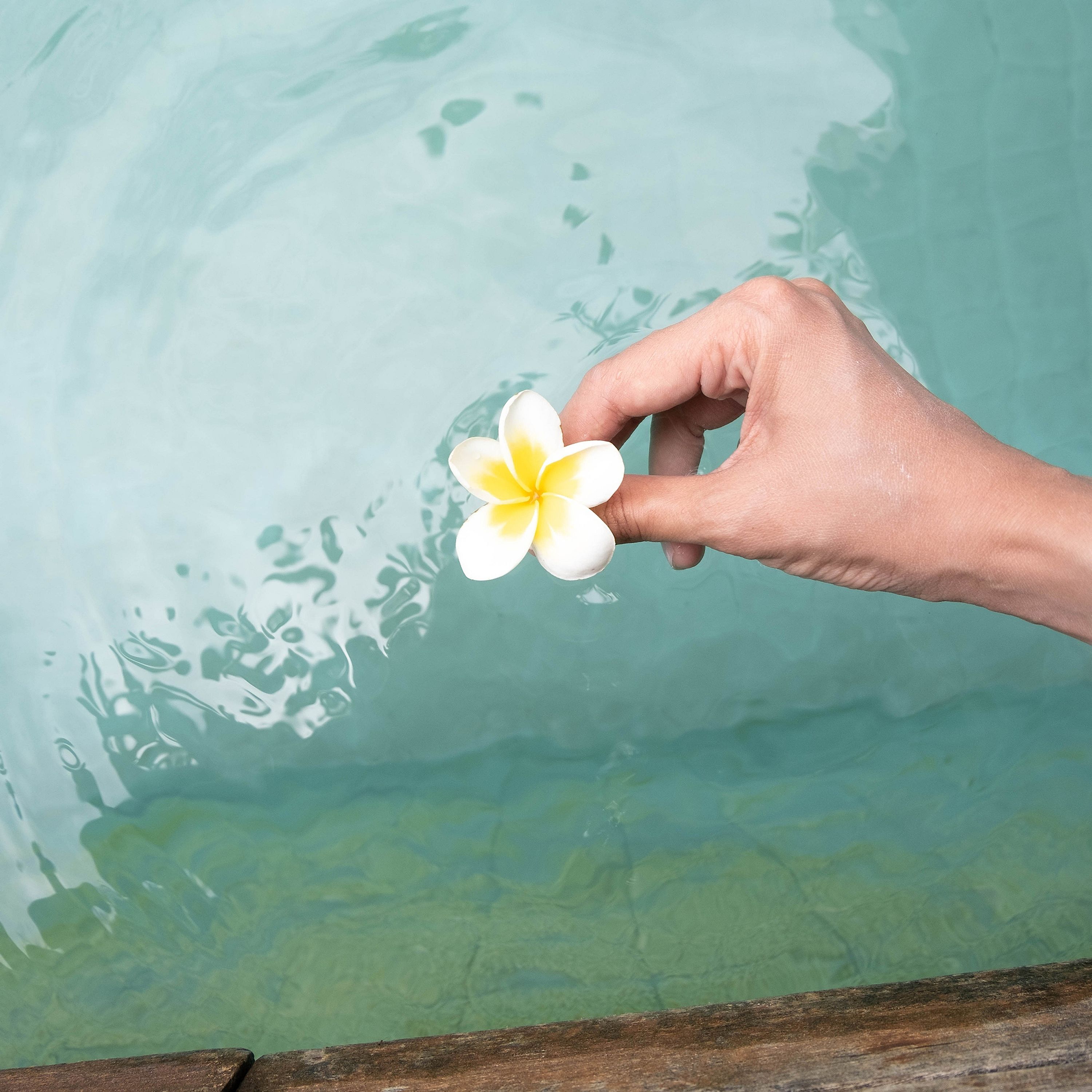 Te explicamos el Profit Pledge de Rituals | RITUALS (ES) - Rituals