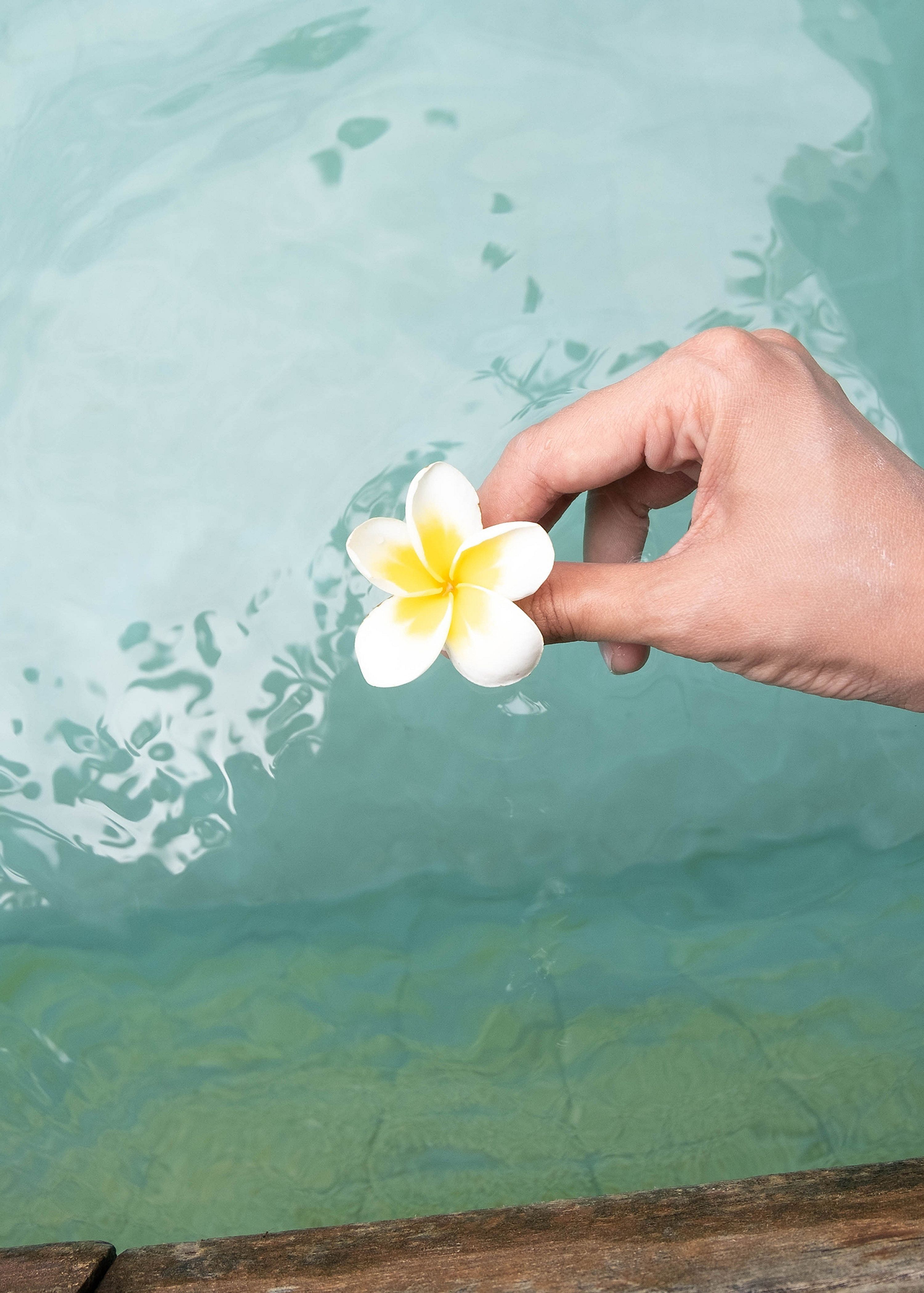 Hånd som holder en blomst